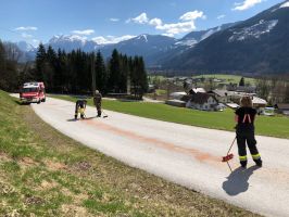 06.04.2018 Bindearbeiten FF04 06.04.2018 Bindearbeiten FF04